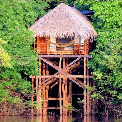Hotéis na selva