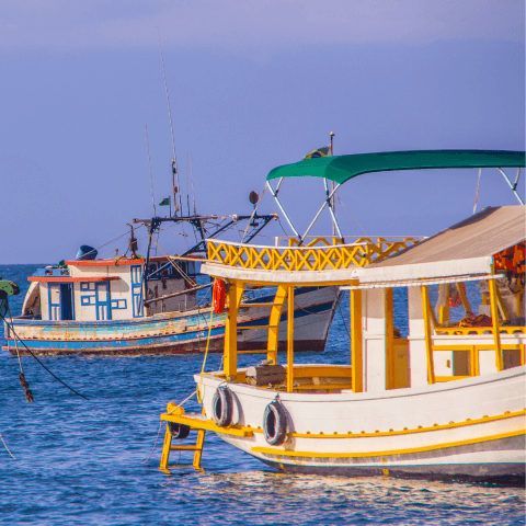 Passeio de barco pelas praias