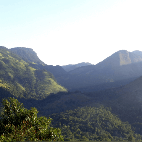 Parque Nacional da Serra da Bocaina