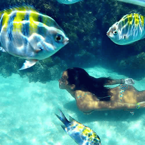 Piscinas Naturais do Seixas